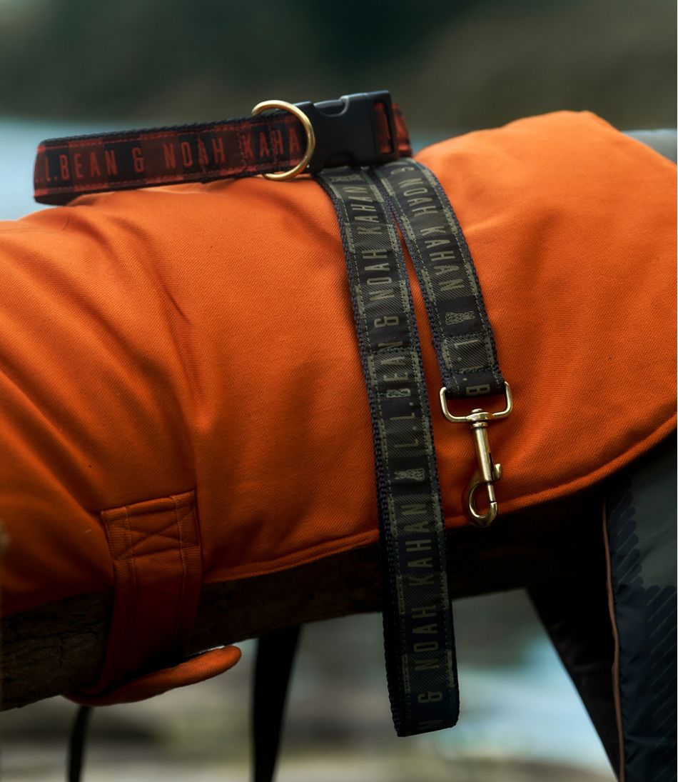 L.L.Bean & Noah Kahan Reversible Field Coat for Dogs L.L.Bean Featured