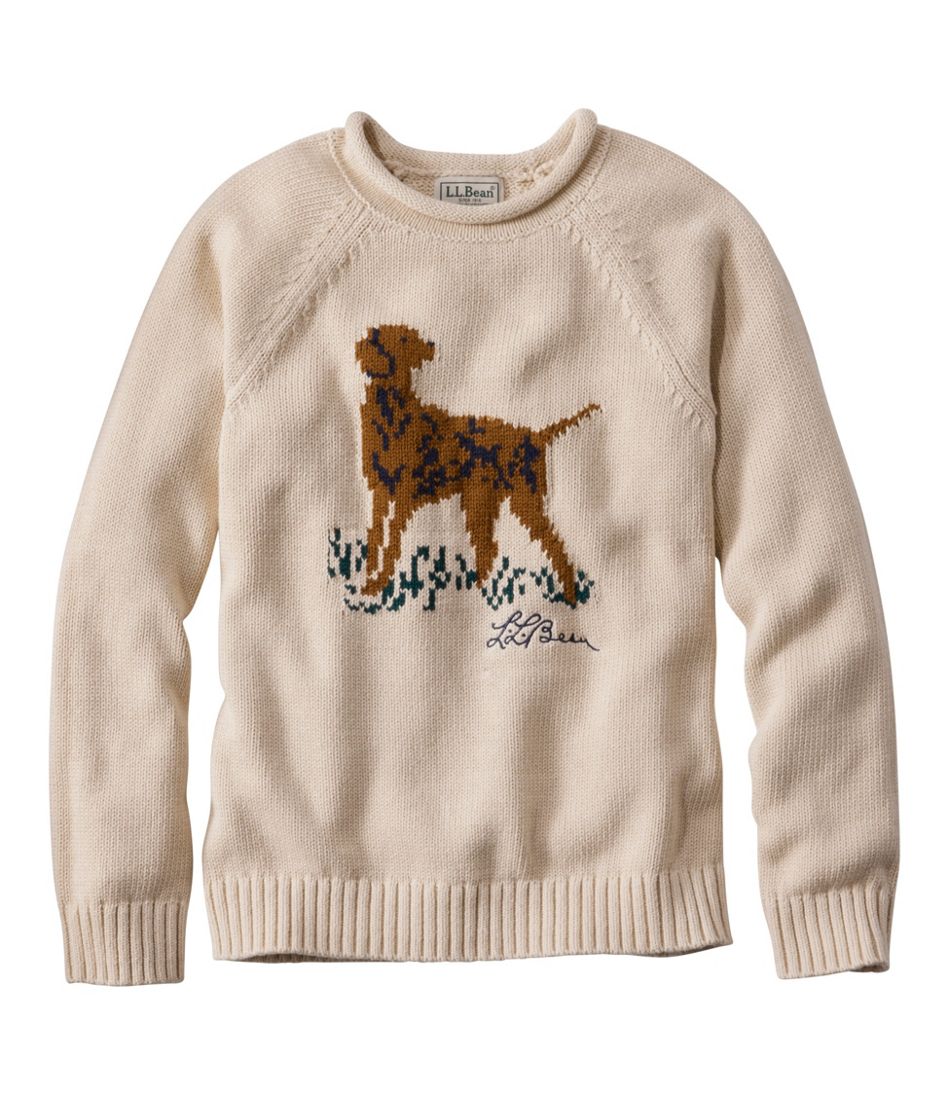 Kids' Cotton Rollneck Sweater L.L.Bean Top Pick