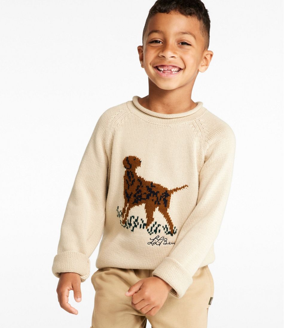 Kids' Cotton Rollneck Sweater L.L.Bean Top Pick