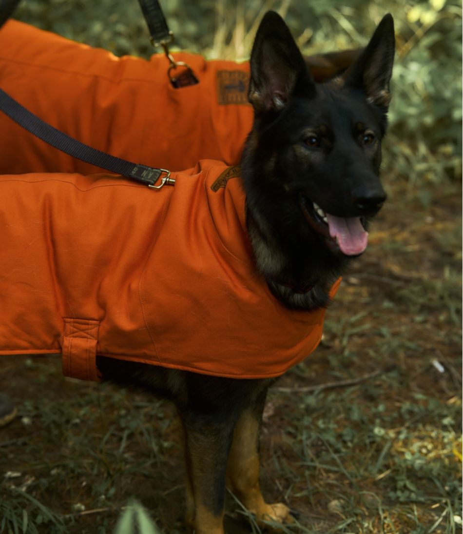 L.L.Bean & Noah Kahan Reversible Field Coat for Dogs L.L.Bean Featured