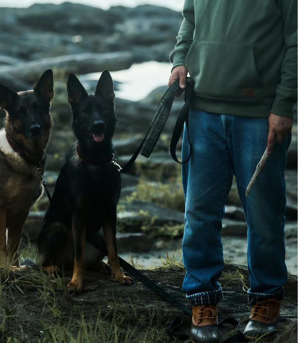 L.L.Bean & Noah Kahan Novelty Dog Leash L.L.Bean Value