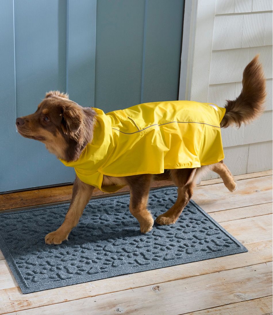 Discovery Dog Rain Jacket L.L.Bean New