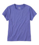 Dusty Periwinkle