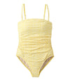 Gold Sun Ditzy Floral