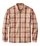 Red Chestnut