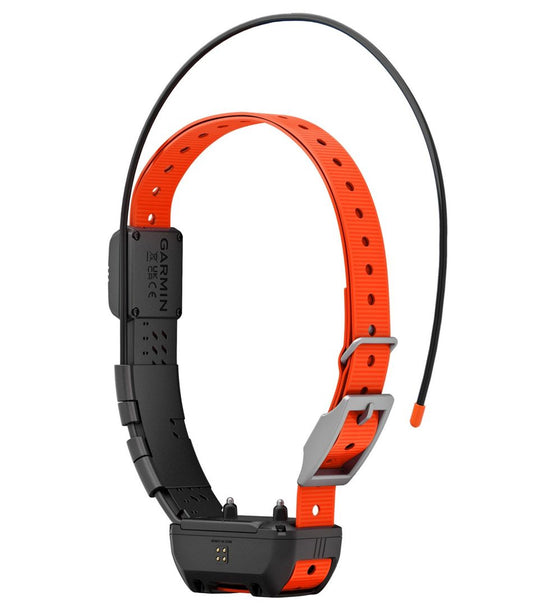 Garmin Alpha TT25 Dog Collar L.L.Bean Classic