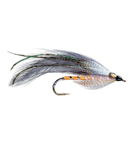 Gray Ghost, 2-Pack L.L.Bean Recommended