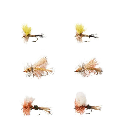 Umpqua Six-Piece Pocket Water Dry Fly Selection L.L.Bean Everyday