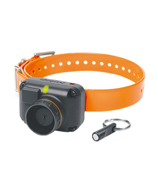 Dogtra STB Beeper Collar L.L.Bean Everyday